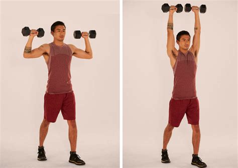 exrx military press|exrx exercise.